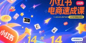 小红书虚拟电商速成课：个人定位分析，原创产品开发，14天变现路径规划-聊项目