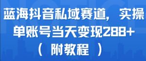 蓝海抖音私域赛道,实操单账号当天变现288+(附教程)-聊项目
