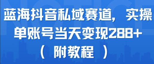 蓝海抖音私域赛道，实操单账号当天变现288+(附教程)-聊项目