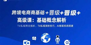 跨境电商基础+晋级+高级课:基础概念解析,Tk私域涨粉技巧,AI客服系统搭建-聊项目