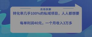 转化率最高的私域项目,每单利润40-50米,月入过1w-聊项目