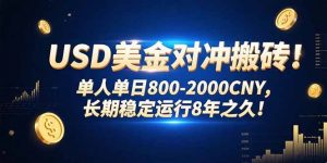 USD美金对冲搬砖!单人单日800-2000CNY，长期稳定运行8年之久!-聊项目