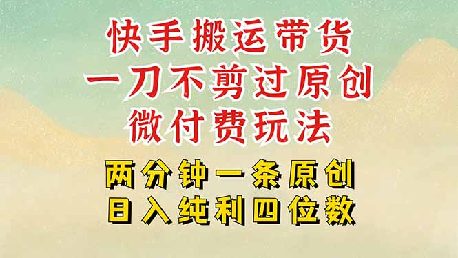 快手黑科技搬运带货，一刀不剪过原创，微付费投流玩法，轻松日入四位数…-聊项目