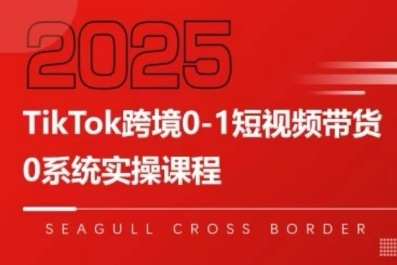TikTok跨境0-1短视频带货，系统拆解TikTok跨境带货全链路，实现跨境可持续盈利-聊项目