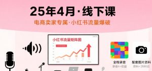 小红书25年4月线下课程,电商卖家小红书流量课,录音+图片-聊项目