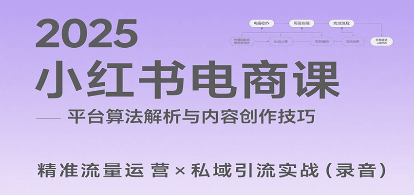 2025小红书电商课：解析算法，创作高转化内容，助力卖家获取流量实现变现(录音)-聊项目