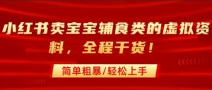 小红书卖宝宝辅食类的虚拟资料,从引流到私域变现,全程干货,简单粗暴,轻松上手-聊项目