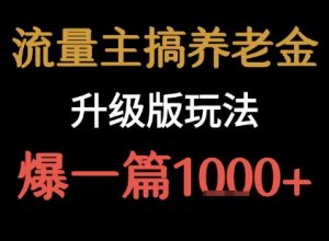 流量主之养老金升级版玩法 爆一篇收益1k+-聊项目