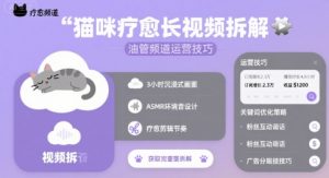 猫咪疗愈长视频拆解 &油管频道运营技巧-聊项目