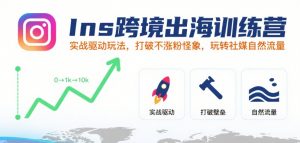 Ins跨境出海训练营,实战驱动玩法,打破不涨粉怪象,玩转社媒自然流量-聊项目