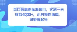 风口信息差蓝海项目,实测一天收益4k+,小白操作简单,可矩阵起号-聊项目