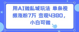 用AI做私域玩法,单条视频涨粉7W变现4.3k,小白可做-聊项目