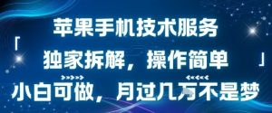 苹果手机技术服务,独家拆解,操作简单,小白可做,月过1W不是梦-聊项目