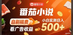 稳定3年官方番茄小说自刷稿费小白单日500+-聊项目