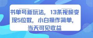 书单号新玩法,13条视频变现5位数,小白操作简单,当天可见收益-聊项目