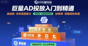 巨量AD投放入门到精通,基础版+进阶版+加餐课-聊项目