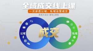 全域成交线上课,一次讲透公域、私域运营成交-聊项目