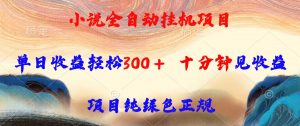 小说全自动挂机项目,单日收益轻松300,十分钟见收益,项目纯绿色正规-聊项目