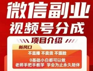 微信副业视频号分成,不直播 不卖货 不露脸,三五分钟即可完成一条作,每日收益几十、几张不等-聊项目