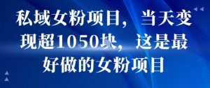 私域女粉项目,当天变现超1k,这是最好做的女粉项目,可放大操作-聊项目