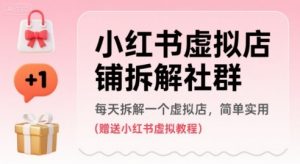 小红书虚拟店铺拆解社群,每天拆解一个虚拟店,简单实用(赠送小红书虚拟教程)-聊项目