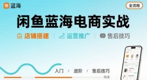 闲鱼蓝海电商实战,店铺搭建运营售后全流程-聊项目