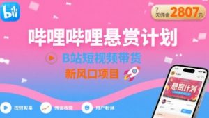 哔哩哔哩悬赏计划,B站短视频带货,7天佣金2807,新风口项目-聊项目