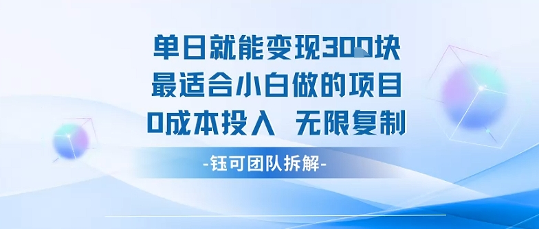 单日就能变现3张最适合小白做的项目0成本投入 无限复制-聊项目
