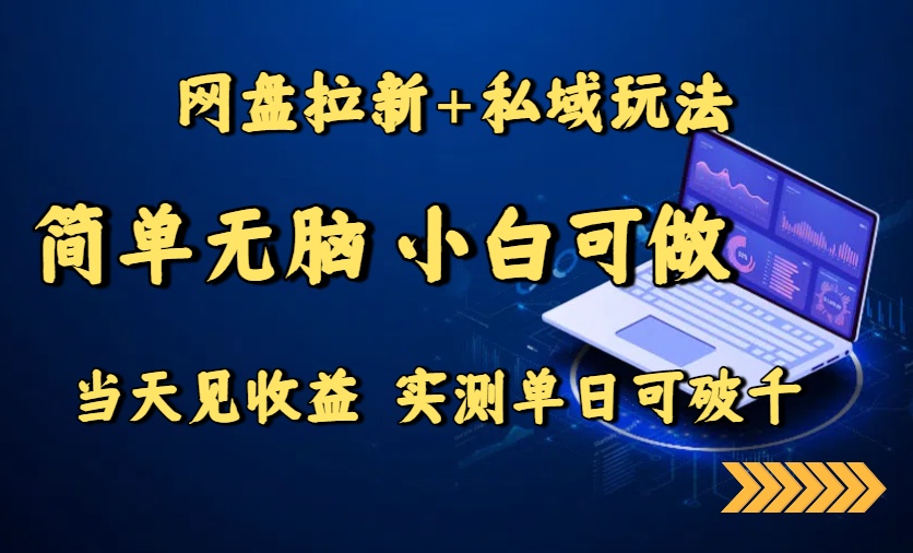 网盘拉新+私域玩法，简单无脑，小白可做，当天见收益，实测单日可破千-聊项目