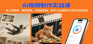 AI视频制作实战:含工具使用、爆款案例,讲拍摄剪辑、数字人批量制作与账号运营变现-聊项目