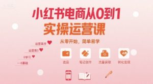 小红书电商从0到1实操运营课，从零开始，简单易学-聊项目