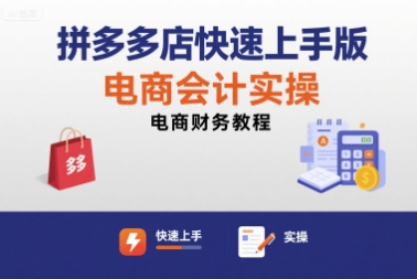 拼多多店快速上手版电商会计实操-电商财务教程-聊项目