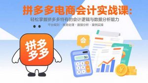 拼多多电商会计实战课:轻松掌握拼多多特有的会计逻辑与数据分析能力-聊项目