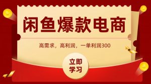 闲鱼卖高利润产品,上架即可出单,每天利润1000+-聊项目