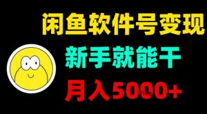 闲鱼软件号变现,新手就能干,月入5k+-聊项目