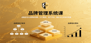 品牌管理系统课:战略定位与消费者洞察,DTC案例、资产评估,增长与公关体系搭建-聊项目