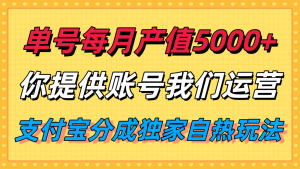 单月产值5000+,支付宝分成代运营,你提供账号坐等分钱,我们帮你运营-聊项目