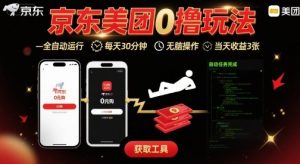 京东美团平台最新0撸玩法,全自动挂G,每天30分钟,无脑操作,当天收益3张【揭秘】-聊项目