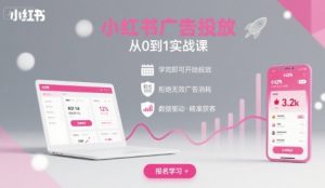 小红书广告投放从0到1的实战课,学完即可开始投放,拒绝无效广告消耗-聊项目