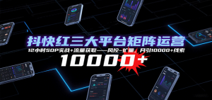 抖快红三大平台矩阵运营,12小时SOP实战+流量获取-风控-扩量,月引10000+线索-聊项目