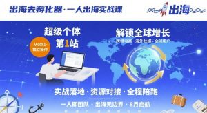 出海去孵化器,一人出海实战课,超级个体第1站,解锁全球增长-聊项目