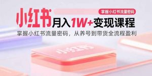 小红书月入1W+变现课程:掌握小红书流量密码,从养号到带货全流程盈利-聊项目