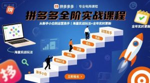 拼多多全阶实战课程，从新手小白到运营高手，海量实战玩法+全年实时更新【2025年9月更新】-聊项目