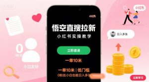 悟空直搜拉新小红书实操教学，一单10米，低门槛，0粉丝小白也能日入多张-聊项目