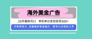 最新海外广告美金,全自动挂机,单机单日500+,可矩阵放大,新手小白轻…-聊项目
