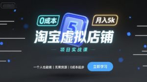 淘宝虚拟店铺项目实战课,一个人也能做,无需货源、0成本起步,月入5k-聊项目