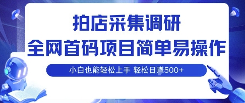 拍店采集调研，全网首码项目，简单易操作， 小白也能轻松上手，多账号操作，轻松日入5张【揭秘】-聊项目