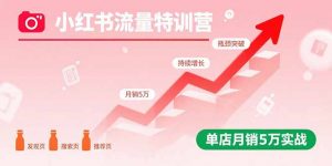 小红书流量特训营:突破流量瓶颈,实现店铺持续增长,单店月销5万实战-聊项目