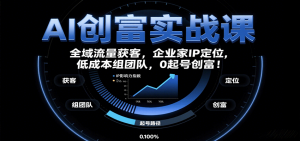 AI创富实战课:企业家IP定位,全域流量获客,低成本组团队,0起号创富!-聊项目