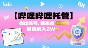 【哔哩哔哩托管】你出账号,我来运营,最高躺入2W【揭秘】-聊项目